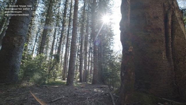 Глава 4 . Охрана труда при производстве работ в действующих электроустановках. ПОТЭЭ 2021г. смотреть онлайн