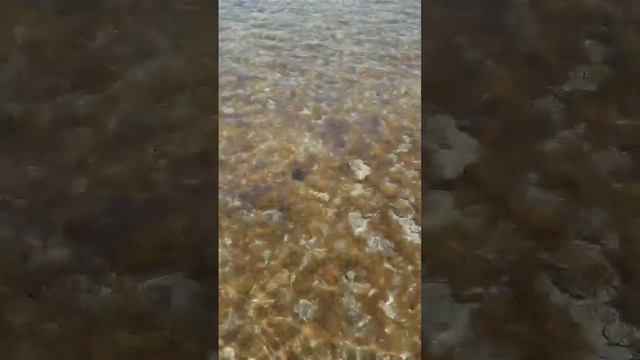 Самое красивое красное море #шармэльшейх #египет2023