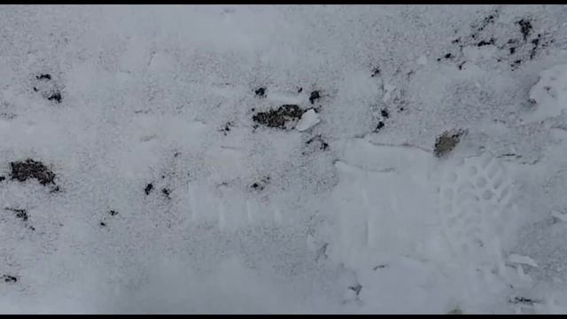 НОВЫЙ СНЕЖНЫЙ ДОМ ДЛЯ КОТА МАКСА ИЗ МИЛЛИОНОВ СНЕЖИНОК. Лабиринт из снега среди весны смотреть онлайн