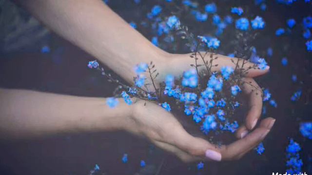 незабудка смотреть онлайн