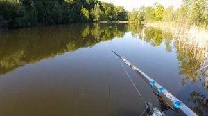 Рыбалка в Михайловке на карася