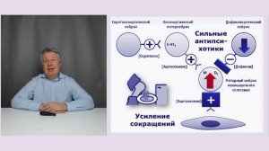 Дискомфорт в животе. Идём к врачу. А что назначат