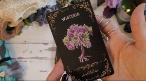 Practical Magic Inner Witch Oracle - Deck Walkthrough