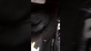 тахометр от шахи в ниву