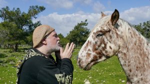 Alizbar & Horses and music Cyprus Happy Horse /Проект Лошади и  музыка  Варган /Кипр/Юлия Худякова