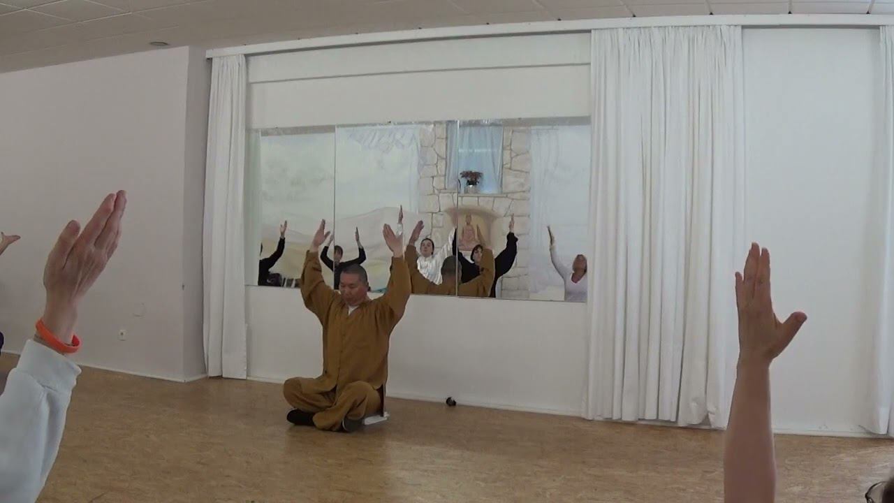 Си Суй Цзин Цигун/Xi Sui Jing. Мастер Ши Юн Дао смотреть онлайн