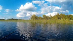 Рыбалка в Витебской области. озеро Ведето. Рыбалка в Полоцком районе. Рыбалка на поплавок в Беларус