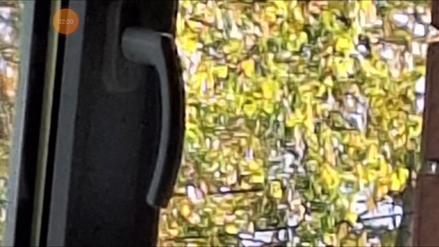 Про разработку гренни 4 и когда она выйдет!.? смотреть онлайн