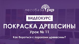 Как бороться с пороками древесины Урок 11. Курс Покраска древесины