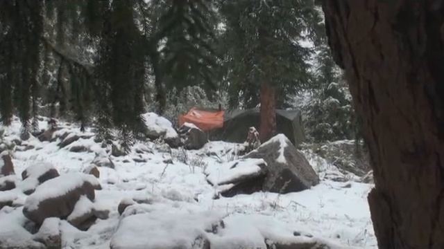 Мальто утром. Трофейная охота в Казахстане. смотреть онлайн