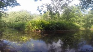 Ловим дикую форель