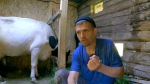 Деревенские НОВОСТИ прошедшей недели! Жизнь в деревне