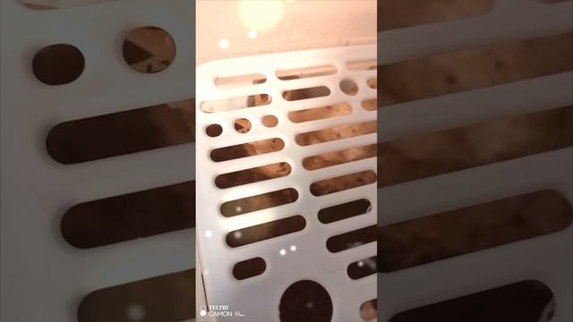 В надежде на скорый переезд, в более комфортабельный контейнер