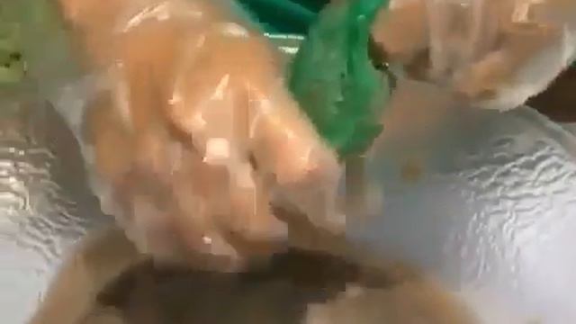 Ширвиндт Что такое Нони и из чего это делают СОК НОНИ