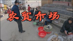 Печеная кровь и красная морковь: идем закупаться на китайский рынок