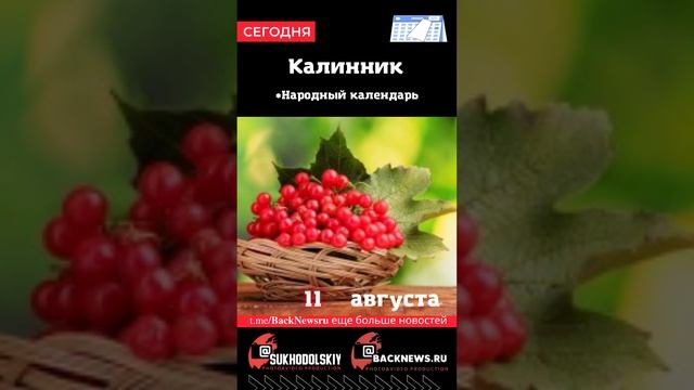 Сегодня,11 августа, в этот день отмечают праздник, Калинник