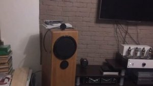 Завораживающий звук 6п42с