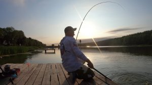 ВОДА ЗАБУРЛИЛА ОТ ОГРОМНОГО КАРПА Ловля карпа на утренней зорьке