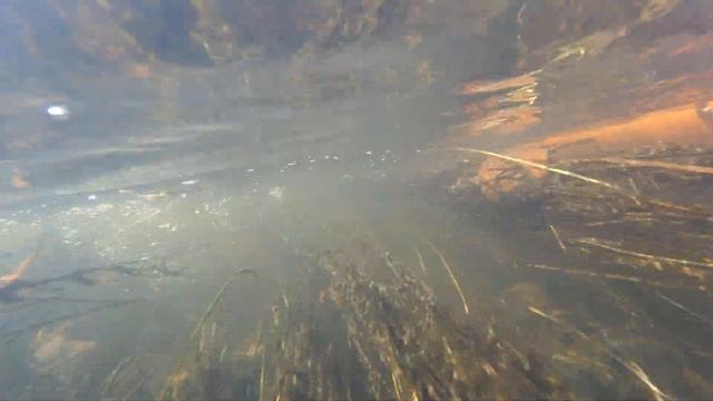 26.09.2022 р. Кия сплав на каяках #0 смотреть онлайн