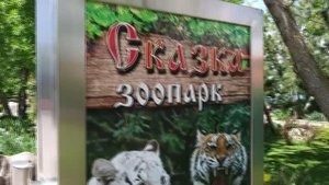 Поездка в парк львов Тайган