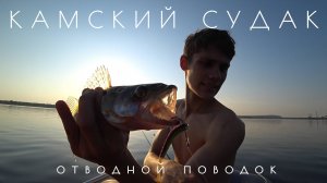 Я ТОЧНО ЗНАЛ ГДЕ ЕСТЬ СУДАК / РЫБАЛКА НА СУДАКА НА ОТВОДНОЙ ПОВОДОК В ИЮЛЕ