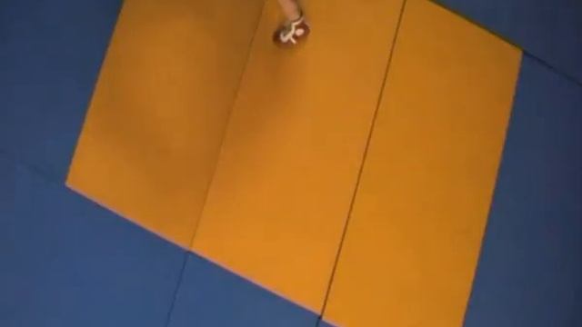 Бросок через голову с упором стопы в живот (самбо, sambo). смотреть онлайн