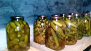 Как построить погреб, подвал для хранения овощей (ОСОБЕННОСТИ проекта)