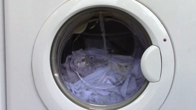 Zanker Lavita LF6650 - E-programme (1600 RPM)