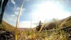 Диско Макарена - Хрен по колено, бред кобылы сивой