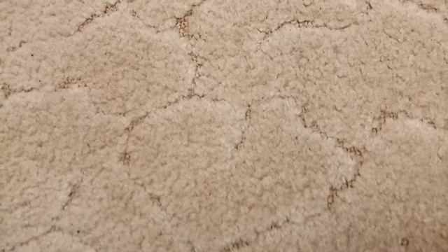Что можно подарить на Новый год басику и лили ?✌️❤️??❄️ Диана плюс