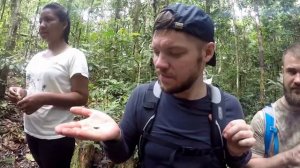 Эквадор Часть 7 Готовим яд кураре