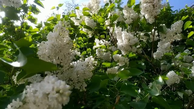 Скоро на взлет. Трепыхаются сердца Лены и Селима. смотреть онлайн