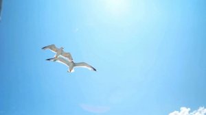 2 й звонок в театре 1