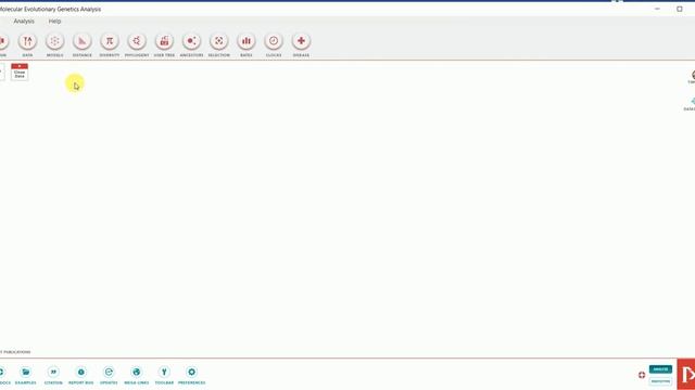 Phylogenetic analysis for beginners using MEGA 11 software смотреть онлайн