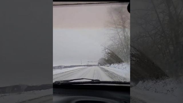 Зимняя поездка