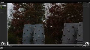 Nikon Z9 vs Nikon Z6ii - 45 mp vs 24mp - image quality test