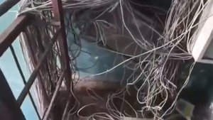 Приколы. Как проложить интернет кабель?