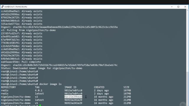 Docker Registries 101: A Comprehensive Guide to Managing Your Containers смотреть онлайн