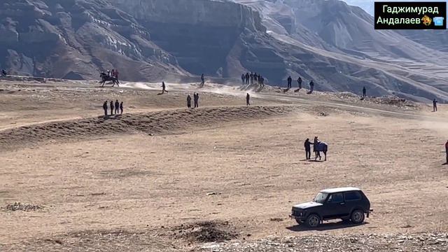 Скачки 2-я партия на 9 кругов. Село Гагатли смотреть онлайн