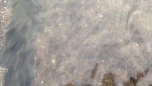 ЗОЛОТО ИЗ ЧИПОВ ОБЖИГ ! GOLD FROM CHIPS !