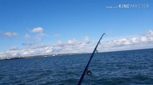 Рыбалка на ставриду Крым.Керчь набережная.