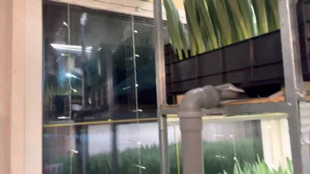 Про вентиляцию, и немножко про выгонку // 13 февраля смотреть онлайн