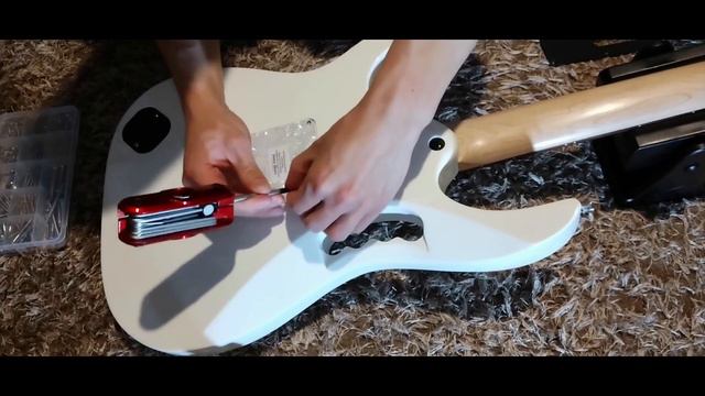Ibanez Jem Jr Backplate Swap смотреть онлайн