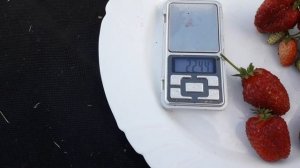 Дивная 2020г.- клубника, со вкусом лесной земляники