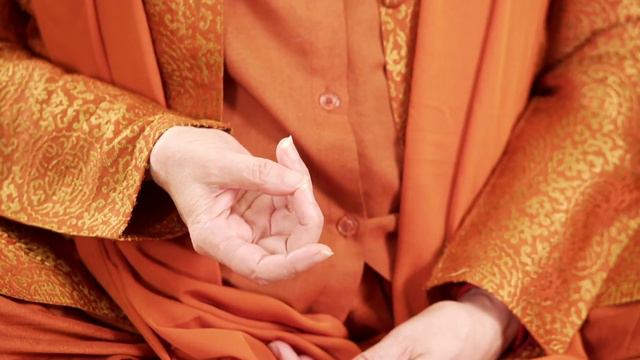 Mantra Repetition Using Hands – Satguru Swami Nirmalananda смотреть онлайн