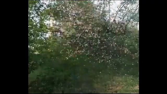 День отца смотреть онлайн