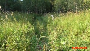 Вездеход из ВАЗ 2108 - Первый выезд с двигателем Lifan 168F