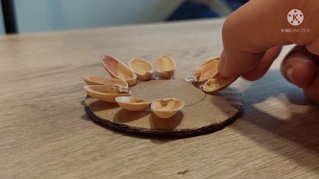 Оригинальная поделка из фисташек. Дачный декор из природных материалов смотреть онлайн