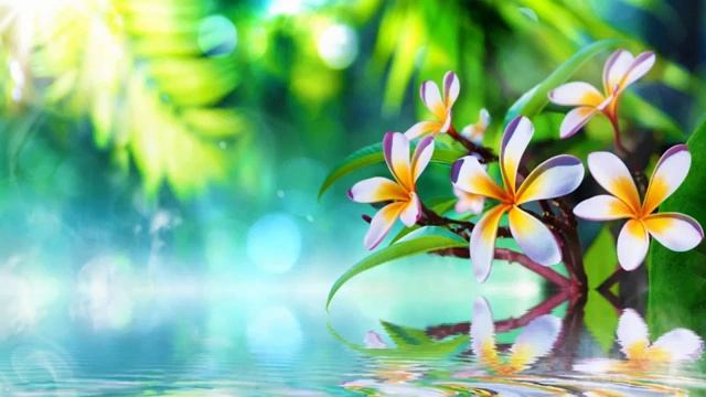 Лечебная музыка для снятия стресса. Музыка для глубокого сладкого сна. Снятие усталости.