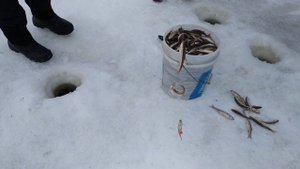 Поронайск, рыбалка 7 января